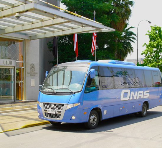 Buses Onas